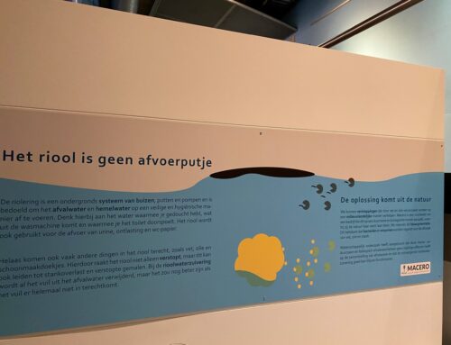 Groene Vetvreter opgedoken in Nederlands Watermuseum