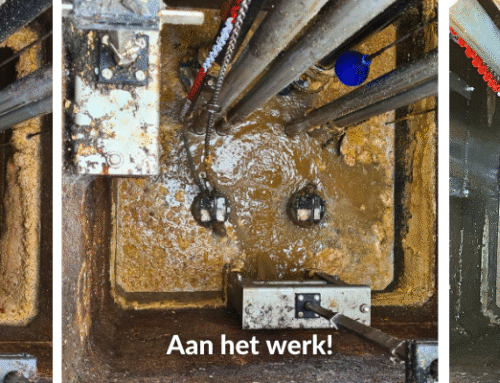 De Groene Vetvreter heeft zich weer bewezen